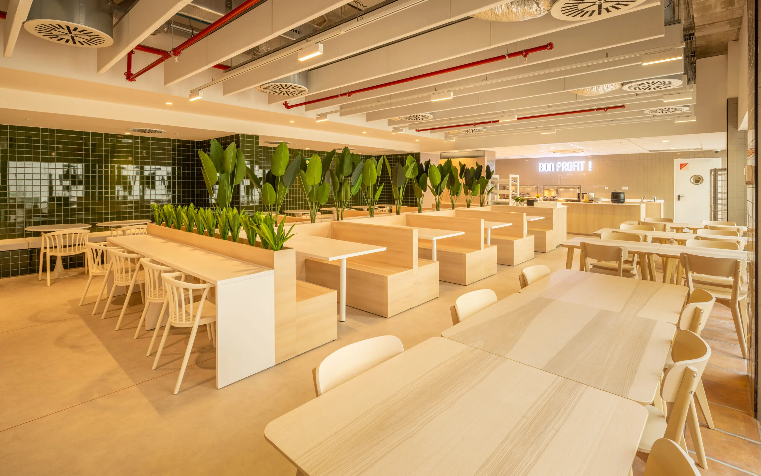amroestudiantes-valiencia-puerto-habitacion-zonas-comunes-comedor